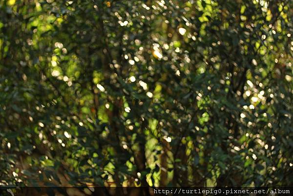 IMG_4656.JPG IMG_4656.JPG