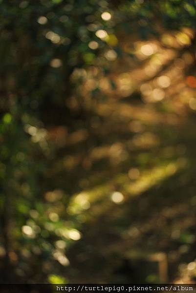 IMG_4660.JPG IMG_4660.JPG