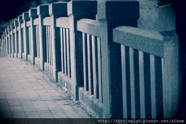 IMG_4736.JPG IMG_4736.JPG