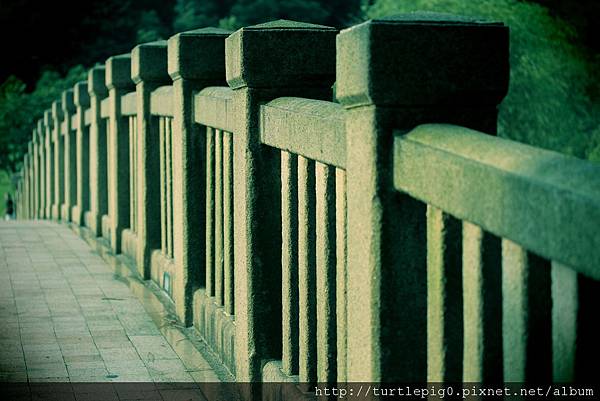 IMG_4739.JPG IMG_4739.JPG