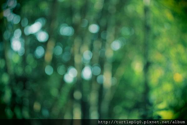 IMG_4529-1.jpg IMG_4529-1.jpg