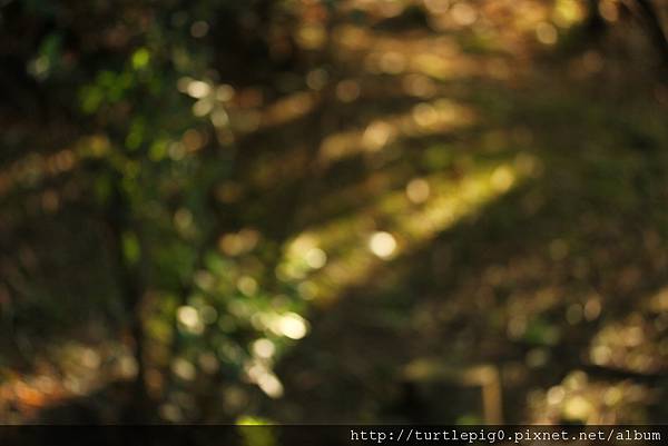 IMG_4657.JPG IMG_4657.JPG