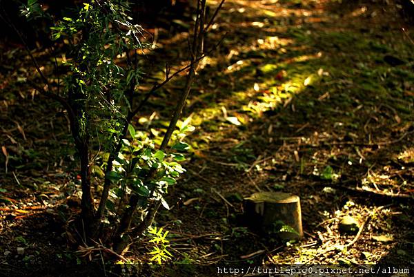 IMG_4658.JPG IMG_4658.JPG