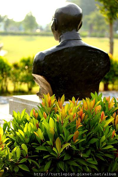 IMG_4695.JPG IMG_4695.JPG