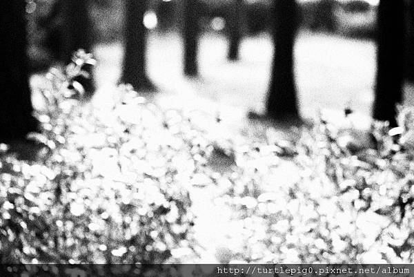 IMG_4733.JPG IMG_4733.JPG