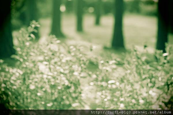 IMG_4734.JPG IMG_4734.JPG