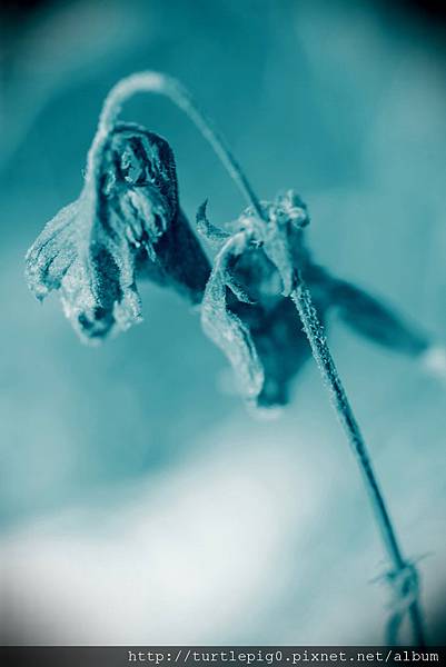 IMG_4738.JPG IMG_4738.JPG