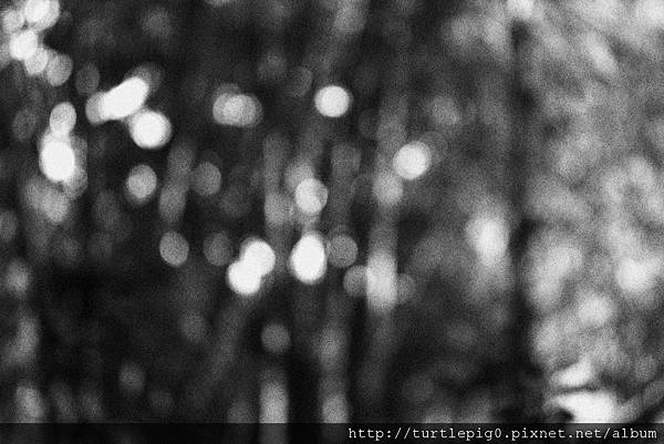 IMG_4740.JPG IMG_4740.JPG