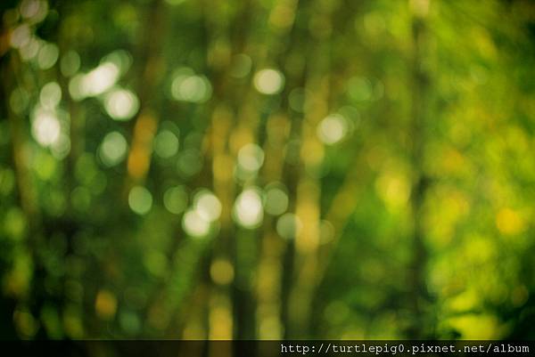 IMG_4742.JPG IMG_4742.JPG