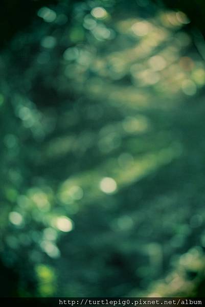 IMG_4743.JPG IMG_4743.JPG