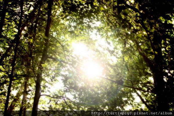 IMG_4750.JPG IMG_4750.JPG