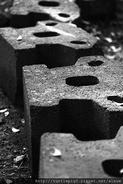 IMG_4752.JPG IMG_4752.JPG