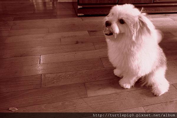 R0010212.JPG R0010212.JPG