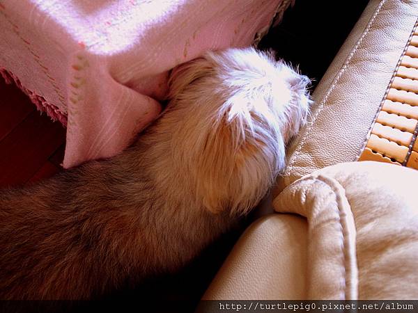 R0010224.JPG R0010224.JPG