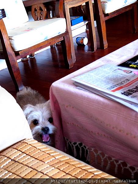 R0010226.JPG R0010226.JPG