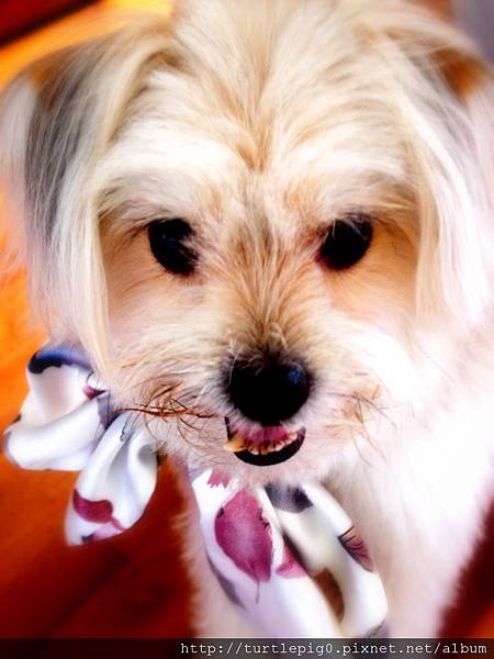 R0010237.JPG R0010237.JPG