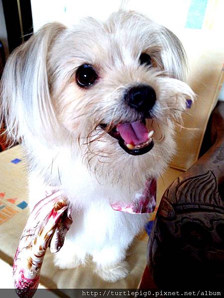 R0010250.JPG R0010250.JPG