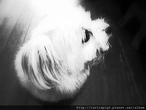 R0010263.JPG R0010263.JPG