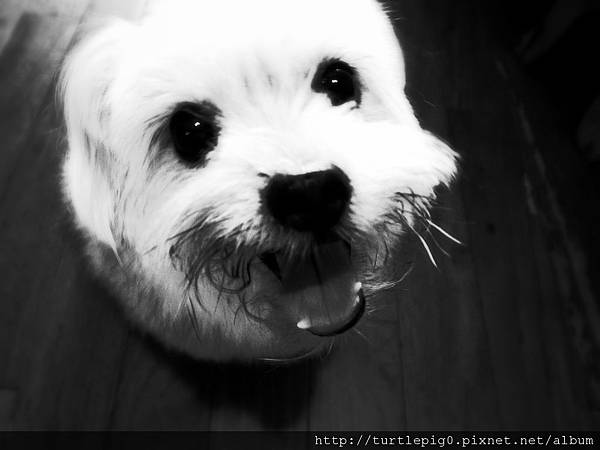 R0010264.JPG R0010264.JPG