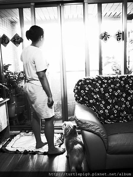 R0010266.JPG R0010266.JPG