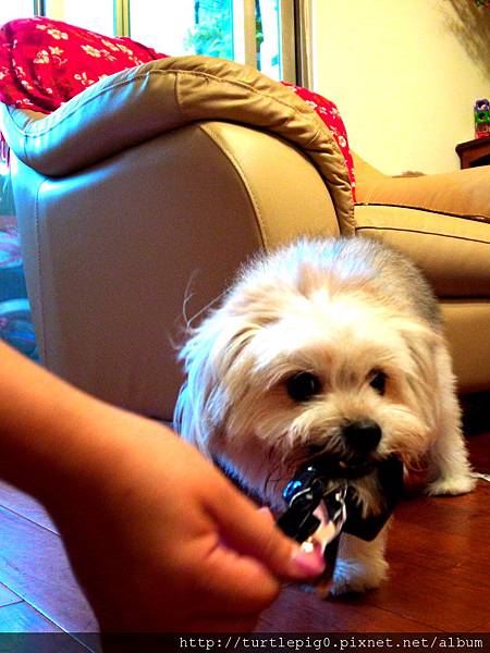 R0010286.JPG R0010286.JPG