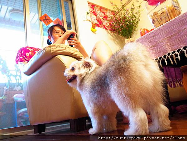 R0010288.JPG R0010288.JPG