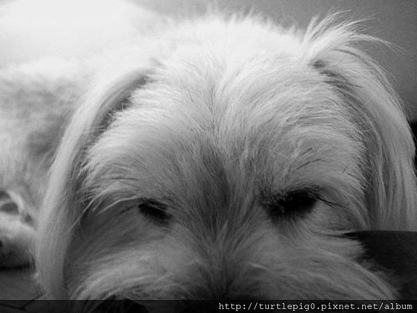 R0010313.JPG R0010313.JPG