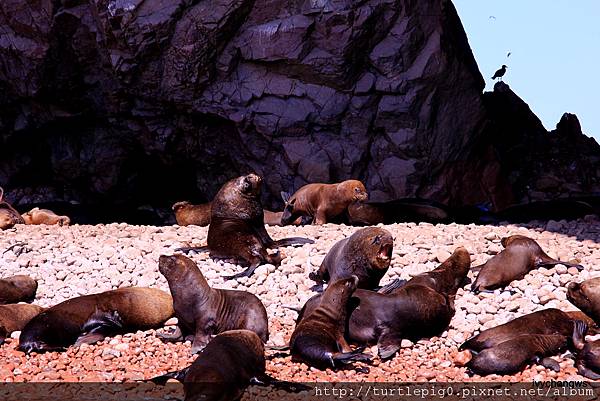 040-IMG_5491.JPG 040-IMG_5491.JPG