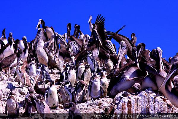 051-IMG_5513.JPG 051-IMG_5513.JPG