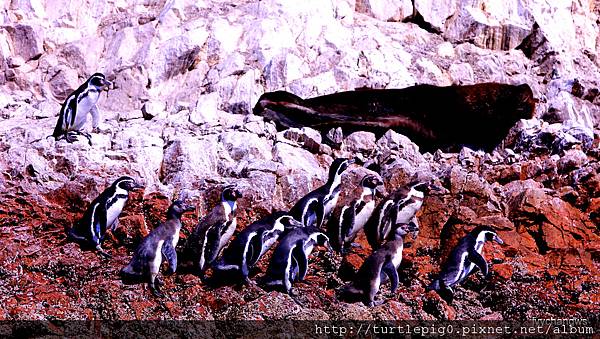 056-IMG_5518.JPG 056-IMG_5518.JPG