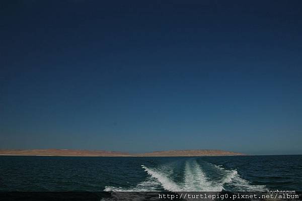 323-DSC_0590.JPG 323-DSC_0590.JPG