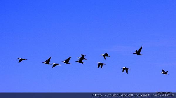 027-IMG_5474.JPG 027-IMG_5474.JPG