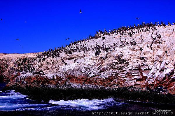 057-IMG_5519.JPG 057-IMG_5519.JPG