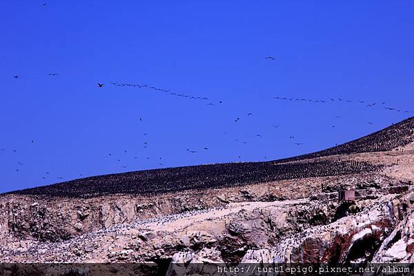 064-IMG_5526.JPG 064-IMG_5526.JPG