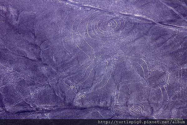 111-IMG_5617.JPG 111-IMG_5617.JPG