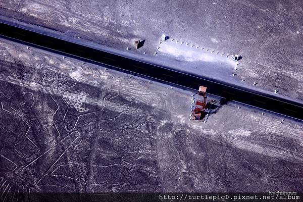 118-IMG_5638.JPG 118-IMG_5638.JPG