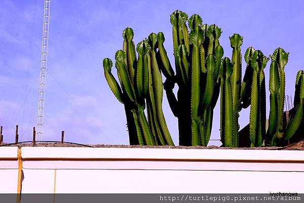 121-IMG_5642.JPG 121-IMG_5642.JPG