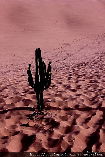 122-IMG_5643.JPG 122-IMG_5643.JPG