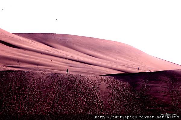 130-IMG_5655.JPG 130-IMG_5655.JPG