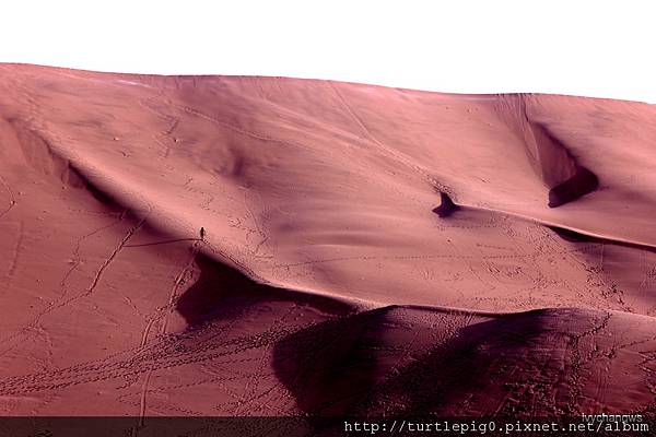 131-IMG_5657.JPG 131-IMG_5657.JPG