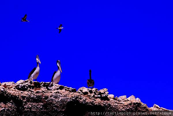 195-IMG_5504-1.JPG 195-IMG_5504-1.JPG