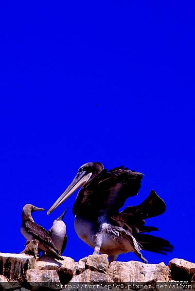 197-IMG_5497-1.JPG 197-IMG_5497-1.JPG