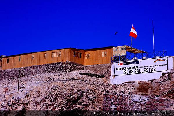 076-IMG_5542.JPG 076-IMG_5542.JPG