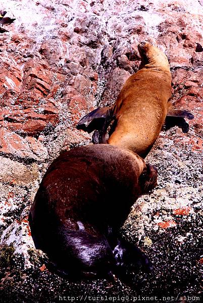 IMG_5540-1.jpg IMG_5540-1.jpg