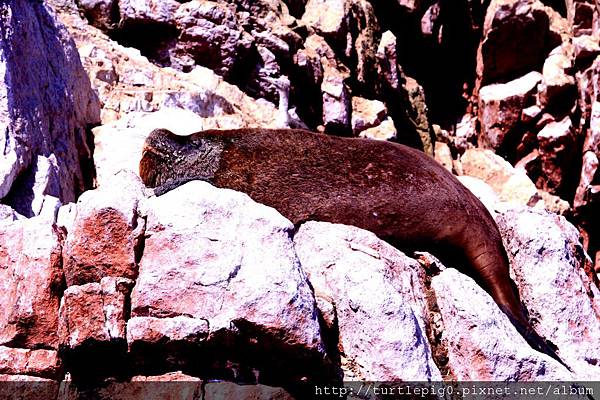 IMG_5535-1.jpg IMG_5535-1.jpg