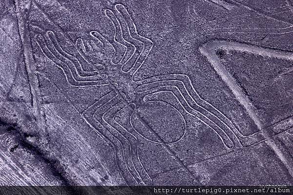 116-IMG_5634.JPG 116-IMG_5634.JPG