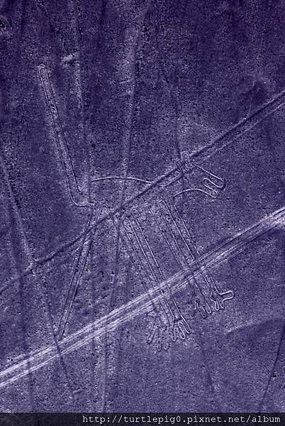 112-IMG_5620-1.jpg 112-IMG_5620-1.jpg