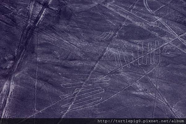 115-IMG_5627-1.jpg 115-IMG_5627-1.jpg