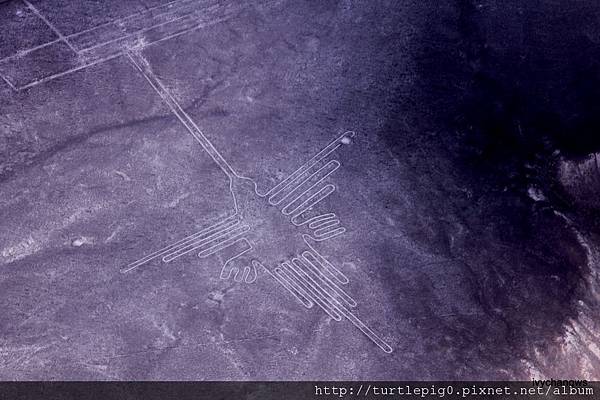 114-IMG_5625.JPG 114-IMG_5625.JPG