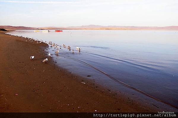 22-R0015810.JPG 22-R0015810.JPG